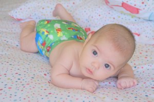 Aqui com uma fralda Bumkins :-)