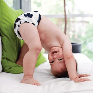 Blueberry_deluxepocket